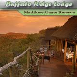 Buffalo Ridge Safari Lodge