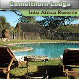 Camelthorn Kalahari Lodge - Intu Africa Game Reserve