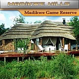 Madikwe Hills Private Game Lodge