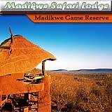 Madikwe Safari Lodge