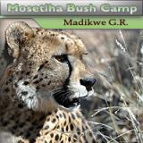 Mosetlha Bush Camp