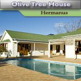 Olive Tree Country House