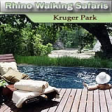 Rhino Walking Safaris