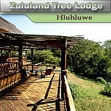 Zululand Tree Lodge