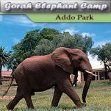 Gorah Elephant Camp