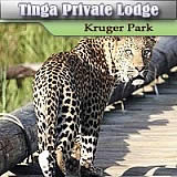 Tinga Private Wildlodge