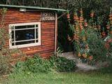 Peace Lodge - Vegan/Vegetarian Forest Backpackers & Retreat