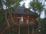 Fish Eagle Log Cabin