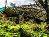 Ang'ata Ngorongoro