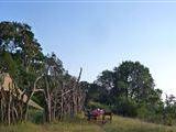 Maasai Trails - Jan's Camp