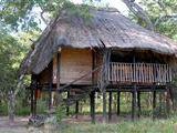 Miombo Safari Camp