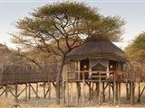 Onguma Tree Top Camp