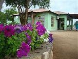 Mashamba Country House