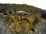 Bontebok Cottage