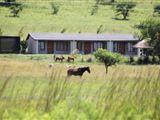 Drakensview Self-catering