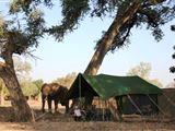 Tailormade Safaris- Mana Pools