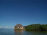 The Sands At Chale Island