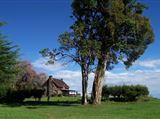 Castle Forest Lodge