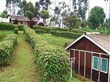 Muchiri's Resort