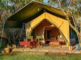 Losokwan Luxury Tented Camp