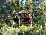 Avoca River Cabins