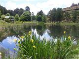 Meadow Lane Country Cottages