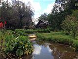 Timau River Lodge