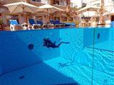 Camel Dive Club en Hotel