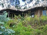 Mount Kilimanjaro View Lodge