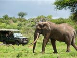 Royal Thonga Safari Lodge