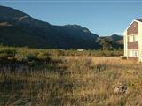 EcoLodge - Greyton