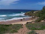 Tofinho Beach Cottages