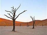 16 Night Namibia Adventure Package