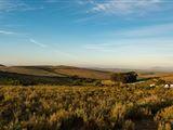 Haarwegskloof Renosterveld Reserve