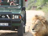 4 Night Kruger Park Safari und Activities Tour