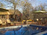 Tusk Bush Lodge & Photographic Safaris