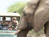 6 Night Kruger Park en Mozambique Safari Tour