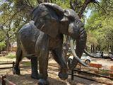 2 Night Safari Package at Letaba Rest Camp Kruger National Park SANParks