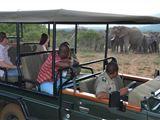 2 Night Kwafubesi Safari Package