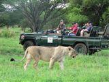 2 Night Mabula Safari Package