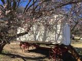 Clarens Ox-wagon Camp