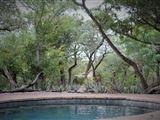 Chama Game Lodge