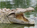 Elmolo Crocodile Park and Lodge