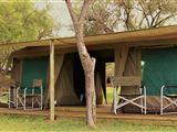 Thorn Tree Bush Camp - Accommodation