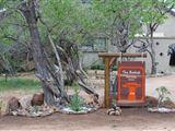 The Baobab Bush Lodge