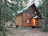 Snowline Cabin #45