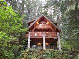 Snowline Cabin #47