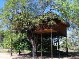 Pezulu Tree House Wild Loge