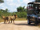 2 Night Classic Kruger Safari Package