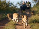 2 Night Classic Self-Drive Safari Package